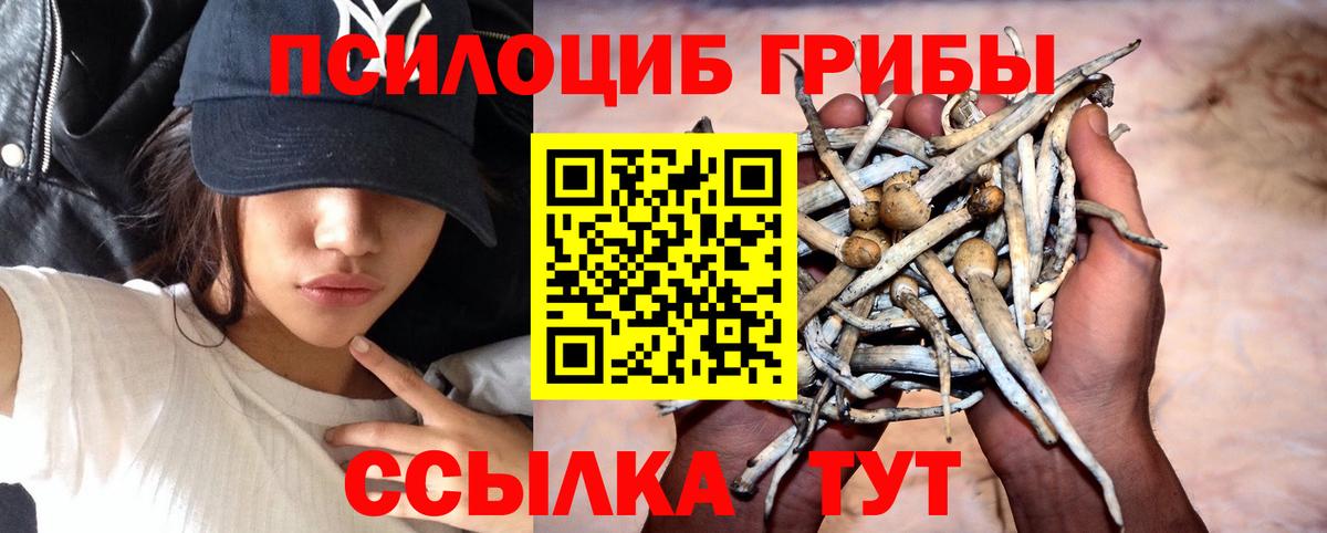 Псилоцибиновые грибы мицелий Печора