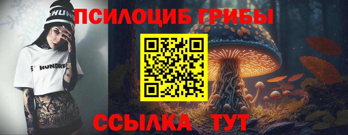 Печора  Псилоцибиновые грибы Psilocybine cubensis  Вход с VPN 